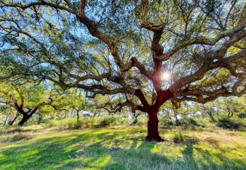 Herdade das Sesmarias dos Nobres - Reserva Agrícola