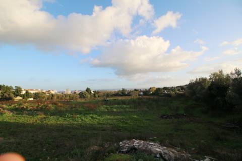 Terreno de 22.040m2 para construção de condomínio privado com 180 fogos e lojas em Torres Novas