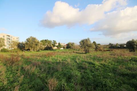 Terreno de 22.040m2 para construção de condomínio privado com 180 fogos e lojas em Torres Novas