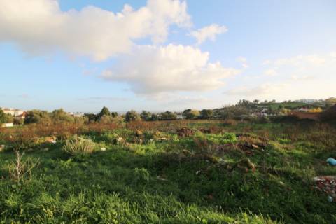 Terreno de 22.040m2 para construção de condomínio privado com 180 fogos e lojas em Torres Novas