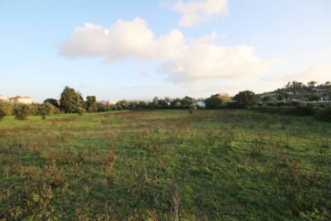 Terreno de 22.040m2 para construção de condomínio privado com 180 fogos e lojas em Torres Novas