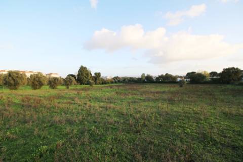 Terreno de 22.040m2 para construção de condomínio privado com 180 fogos e lojas em Torres Novas
