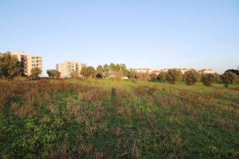 Terreno de 22.040m2 para construção de condomínio privado com 180 fogos e lojas em Torres Novas