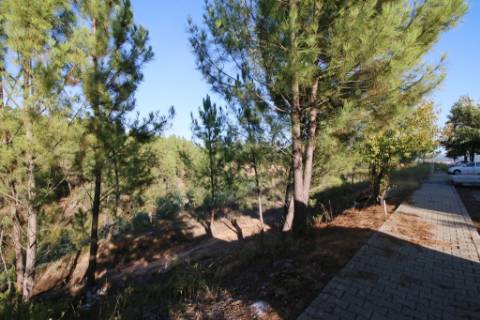 Terreno para construção de moradia de 2 pisos, na Chainça - Abrantes