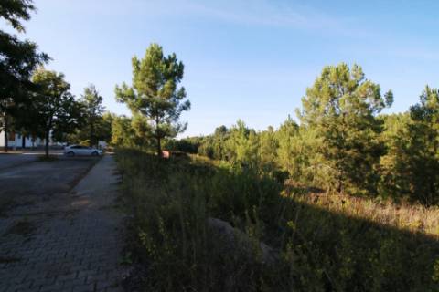 Terreno para construção de moradia de 2 pisos, na Chainça - Abrantes