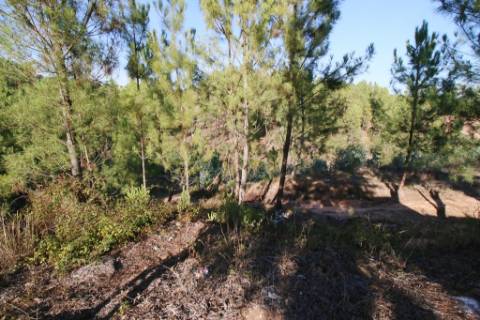 Terreno para construção de moradia de 2 pisos, na Chainça - Abrantes