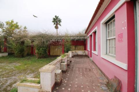 Casa Senhorial com 16 quartos e adega, em pleno coração de Alpiarça