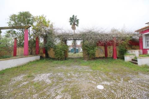 Casa Senhorial com 16 quartos e adega, em pleno coração de Alpiarça