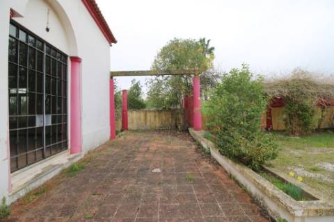 Casa Senhorial com 16 quartos e adega, em pleno coração de Alpiarça