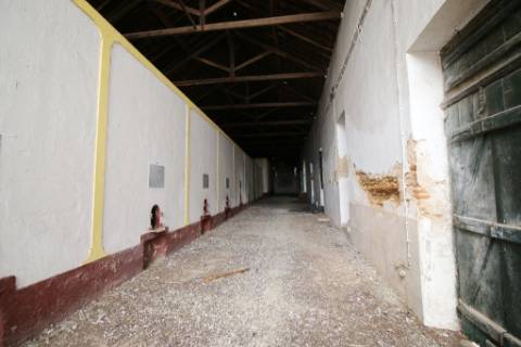 Casa Senhorial com 16 quartos e adega, em pleno coração de Alpiarça