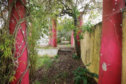 Casa Senhorial com 16 quartos e adega, em pleno coração de Alpiarça