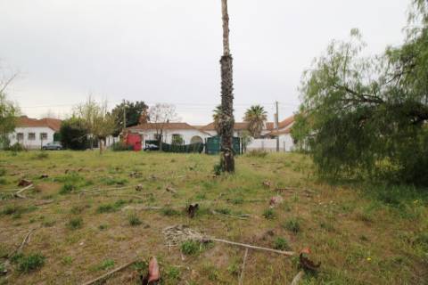 Casa Senhorial com 16 quartos e adega, em pleno coração de Alpiarça