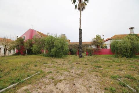 Casa Senhorial com 16 quartos e adega, em pleno coração de Alpiarça