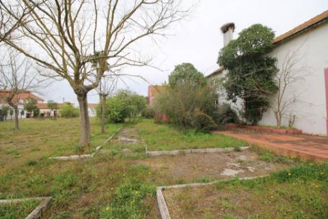 Casa Senhorial com 16 quartos e adega, em pleno coração de Alpiarça