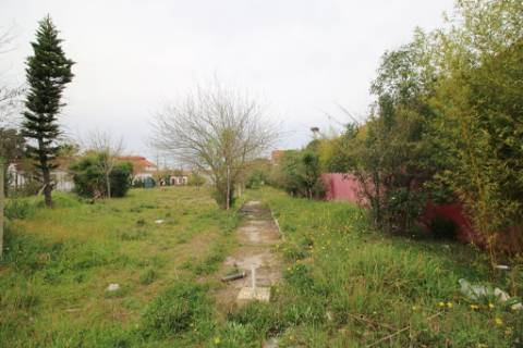 Casa Senhorial com 16 quartos e adega, em pleno coração de Alpiarça