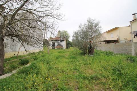 Casa Senhorial com 16 quartos e adega, em pleno coração de Alpiarça