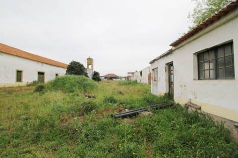 Casa Senhorial com 16 quartos e adega, em pleno coração de Alpiarça