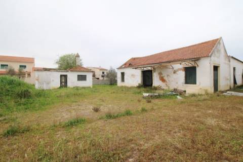 Casa Senhorial com 16 quartos e adega, em pleno coração de Alpiarça