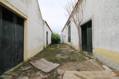 Casa Senhorial com 16 quartos e adega, em pleno coração de Alpiarça