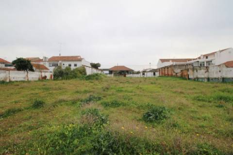 Casa Senhorial com 16 quartos e adega, em pleno coração de Alpiarça