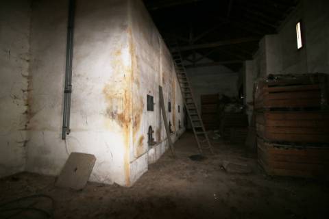 Casa Senhorial com 16 quartos e adega, em pleno coração de Alpiarça