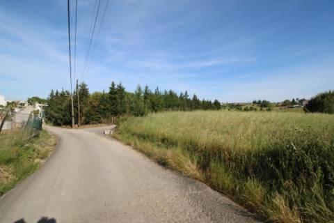 Terreno rústico com 13.280m2 na Lapa - Cartaxo