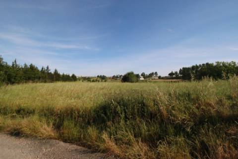 Terreno rústico com 13.280m2 na Lapa - Cartaxo