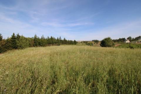 Terreno rústico com 13.280m2 na Lapa - Cartaxo