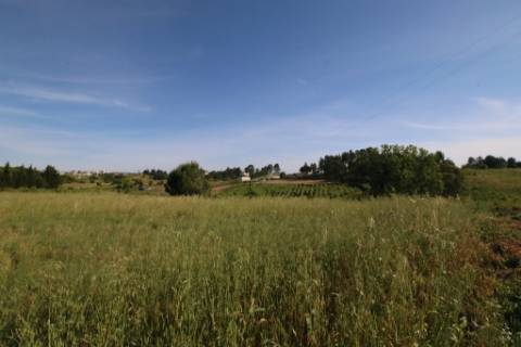 Terreno rústico com 13.280m2 na Lapa - Cartaxo