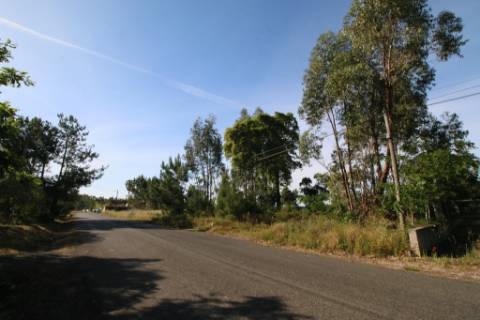 Terreno rústico com 13.280m2 na Lapa - Cartaxo