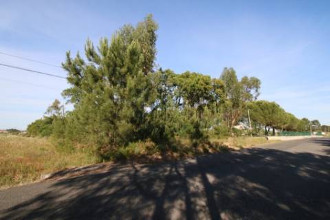 Terreno rústico com 13.280m2 na Lapa - Cartaxo