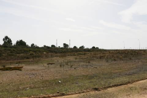 Terreno Industrial para construção no Parque Industrial Sapec Bay - Setúbal
