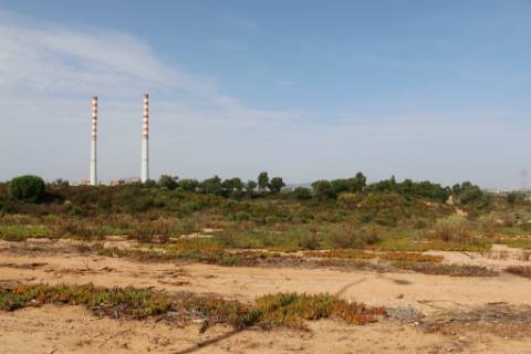 Terreno Industrial para construção no Parque Industrial Sapec Bay - Setúbal