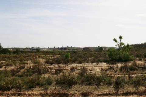 Terreno Industrial para construção no Parque Industrial Sapec Bay - Setúbal