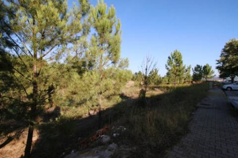 4 Terrenos para construção de moradias de 2 pisos, na Chainça - Abrantes