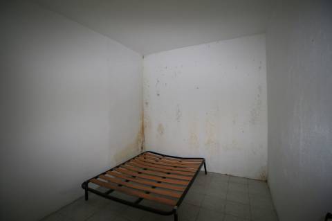 Moradia T5 de 2 pisos e logradouro com 10 boxes para cavalos - Golegã