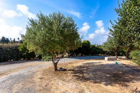 Moradia tradicional, com anexos e tanque em plena Ria Formosa, entre a Fuzeta e Tavira