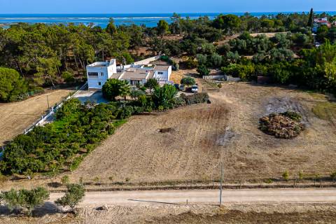 Moradia tradicional, com anexos e tanque em plena Ria Formosa, entre a Fuzeta e Tavira
