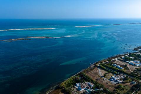 Moradia tradicional, com anexos e tanque em plena Ria Formosa, entre a Fuzeta e Tavira