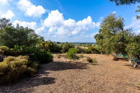 Moradia tradicional, com anexos e tanque em plena Ria Formosa, entre a Fuzeta e Tavira