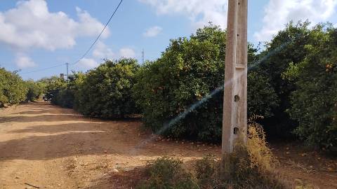 Terreno de 2.1ha com árvores de fruto e excelente acesso em Faro.
