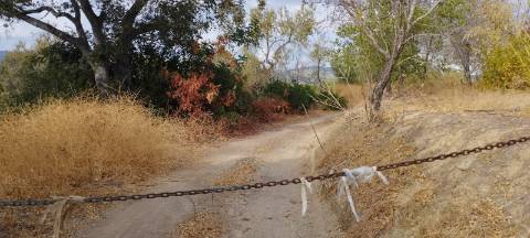 Terreno de 2.1ha com árvores de fruto e excelente acesso em Faro.
