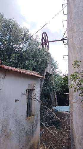 Terreno de 2.1ha com árvores de fruto e excelente acesso em Faro.
