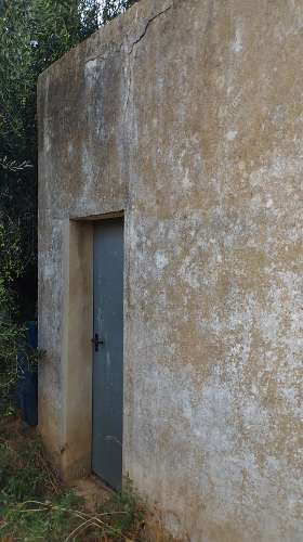 Terreno de 2.1ha com árvores de fruto e excelente acesso em Faro.
