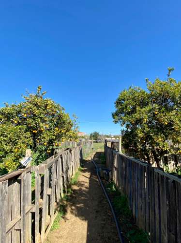 Moradia térrea T3 com terreno, privacidade e charme rústico, perto da Luz de Tavira