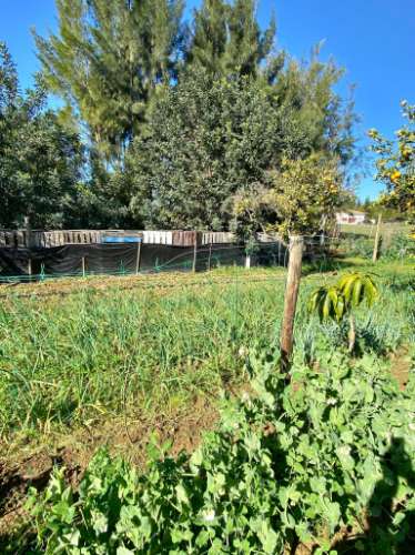 Moradia térrea T3 com terreno, privacidade e charme rústico, perto da Luz de Tavira