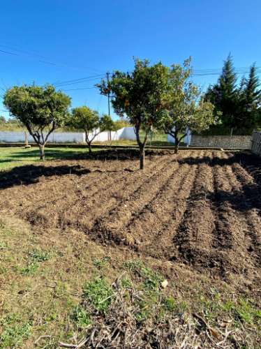 Moradia térrea T3 com terreno, privacidade e charme rústico, perto da Luz de Tavira