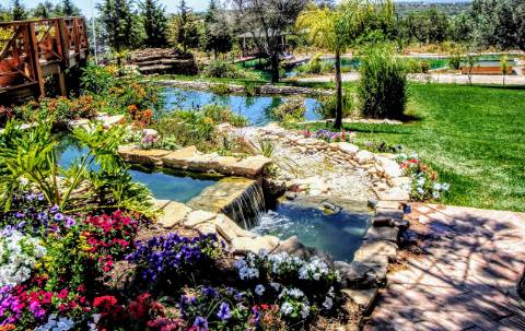 Excelente Propriedade Rural no Coração do Algarve