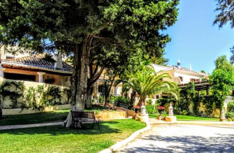 Excelente Propriedade Rural no Coração do Algarve