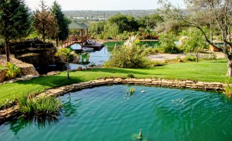 Excelente Propriedade Rural no Coração do Algarve